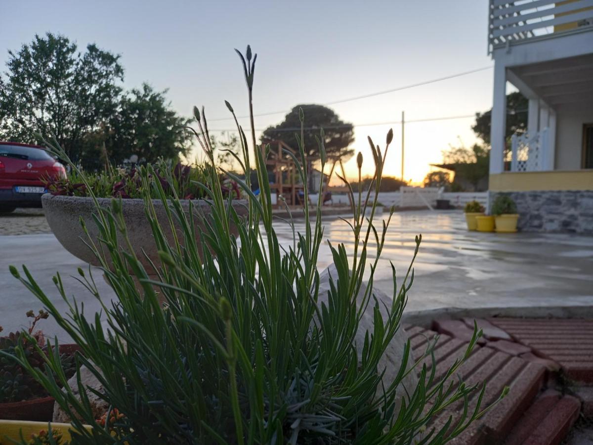 B&B Iris Cottage Campomarino  Exterior foto